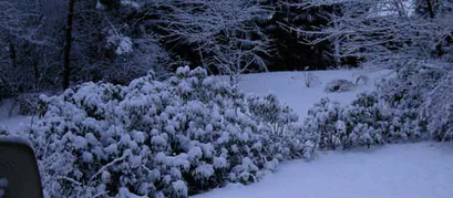 Wintereinbruch 2008