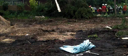 Baum explodiert