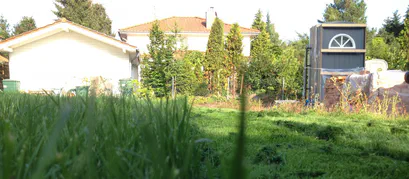 Die grüne Hölle