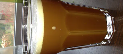 Bierbraukurs