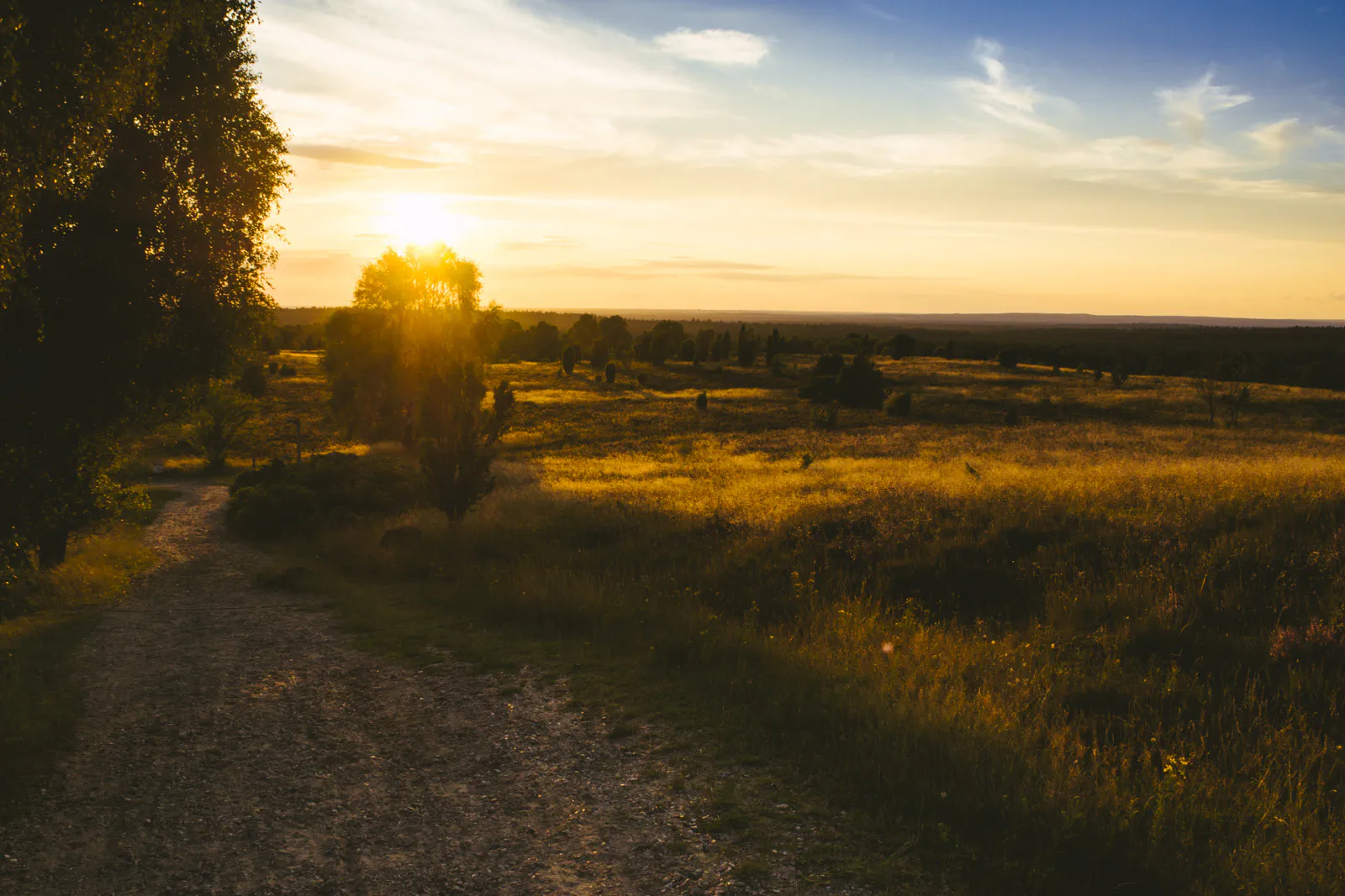 20140730-Fotowalk Wilseder Berg-2423