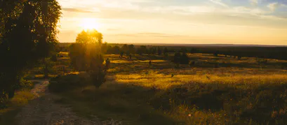 Sonnenuntergang am Wilseder Berg
